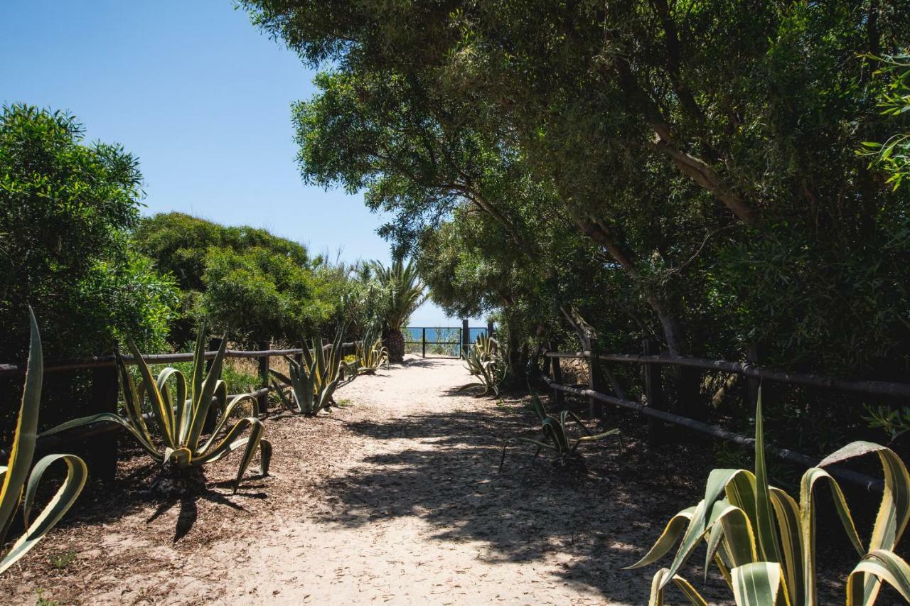 Casara Uno - Hermoso Loft En Playa Zahora Bagian luar foto